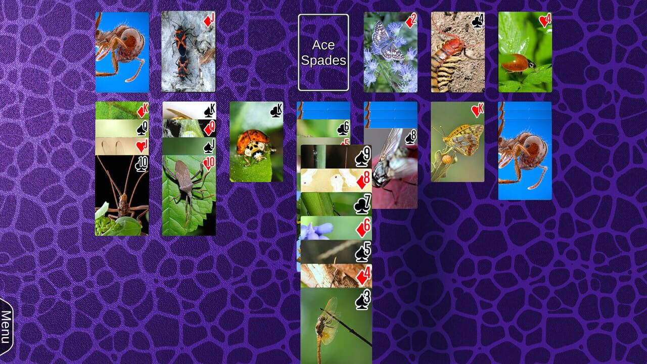 Wyvern Studios Solitaire: 30th Aniversary Edition
