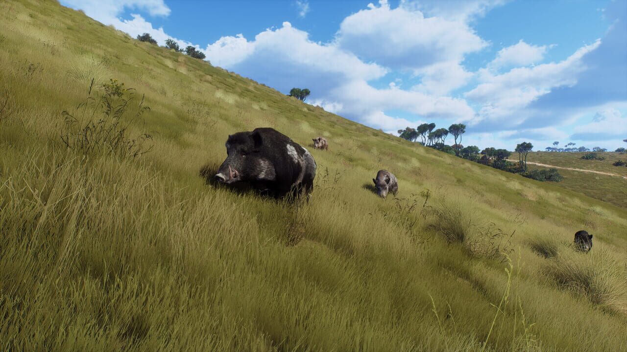 Way of the Hunter: Matariki Park