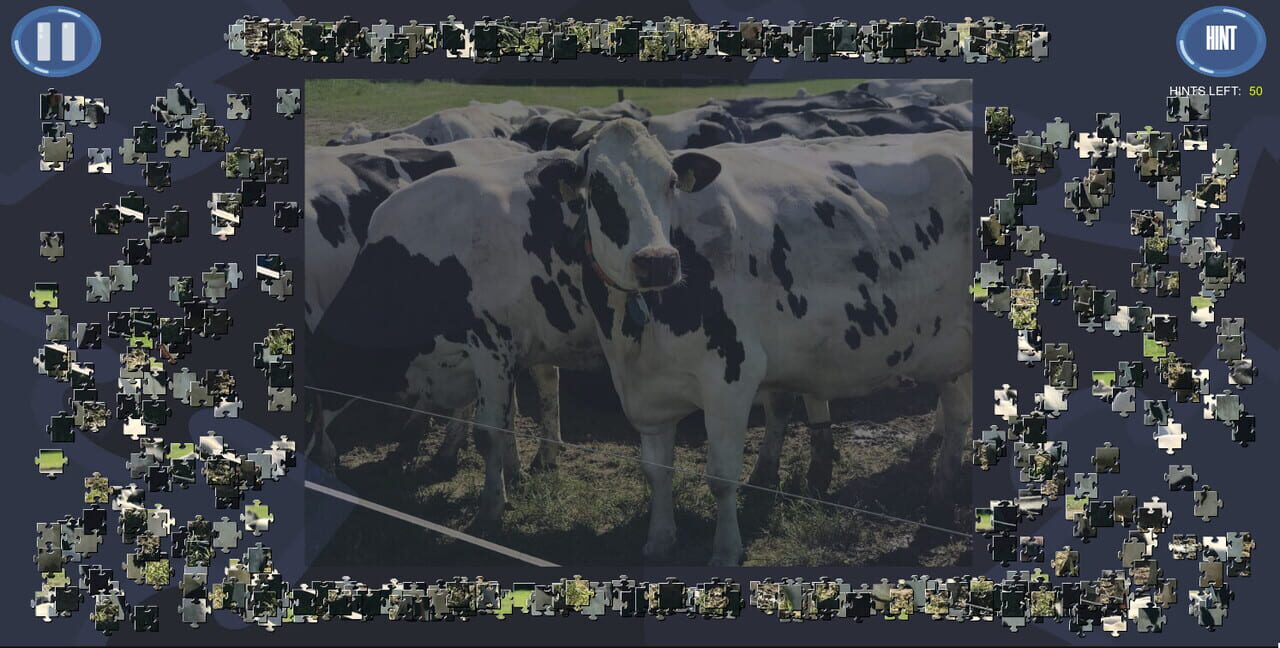 Virtual Jigsaw Puzzles: Animals