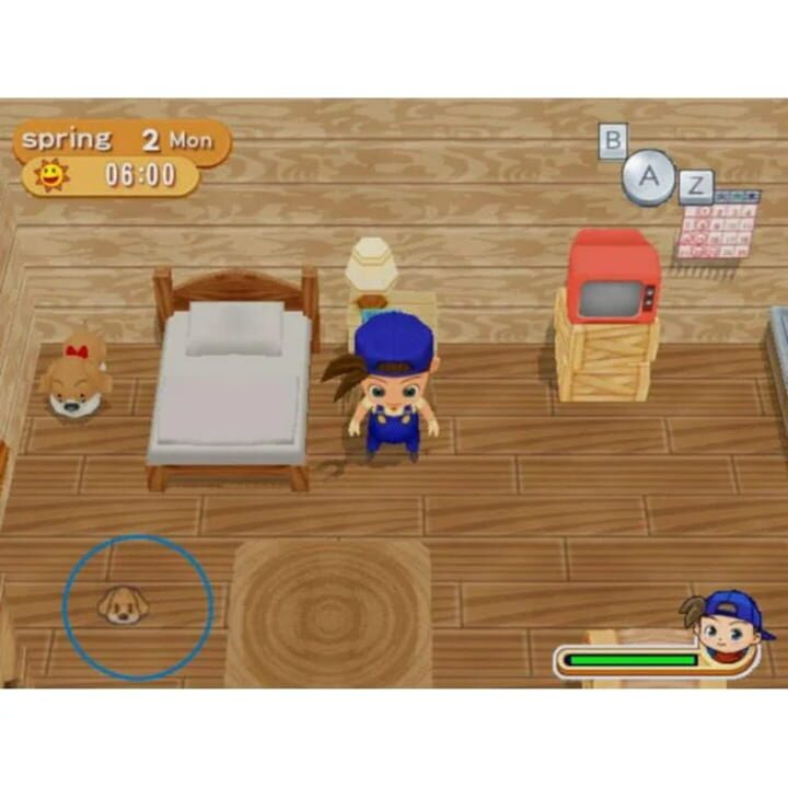 Harvest Moon: Magical Melody