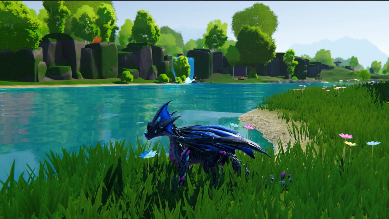 Dragons and Nature