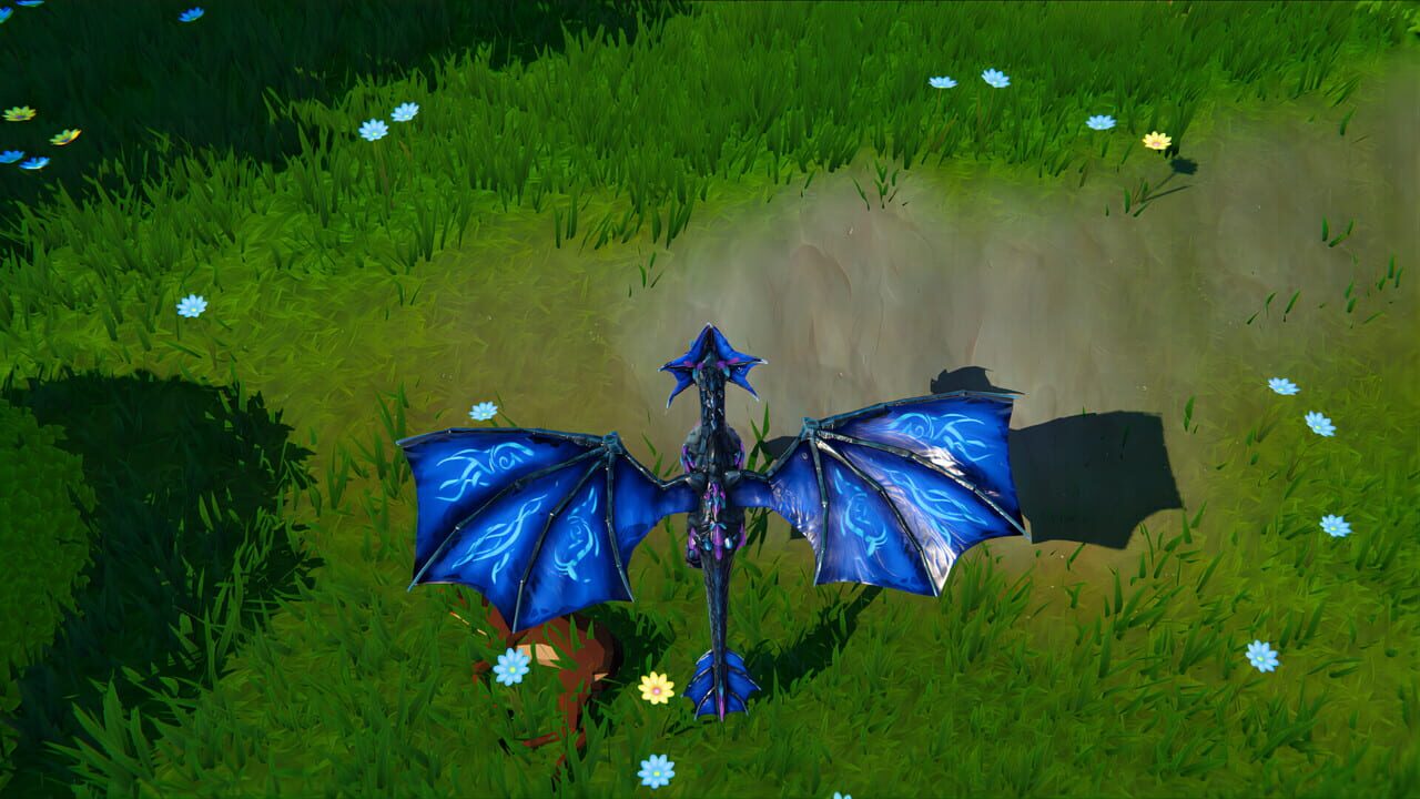 Dragons and Nature