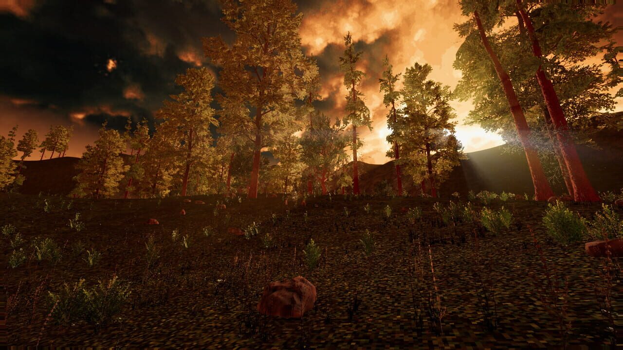 Intown Nightmares