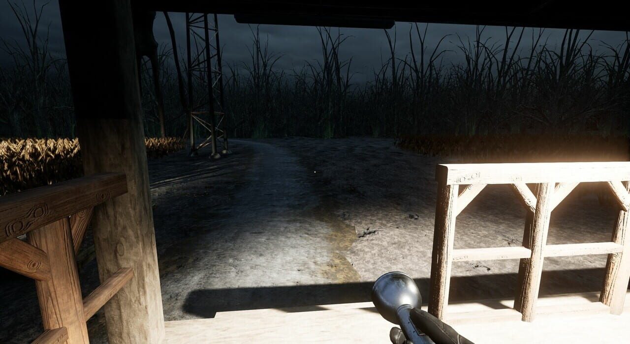 Descending The Woods