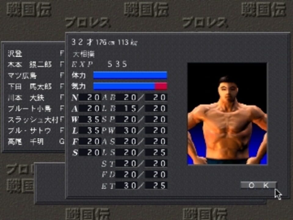 Pro Wrestling Sengokuden