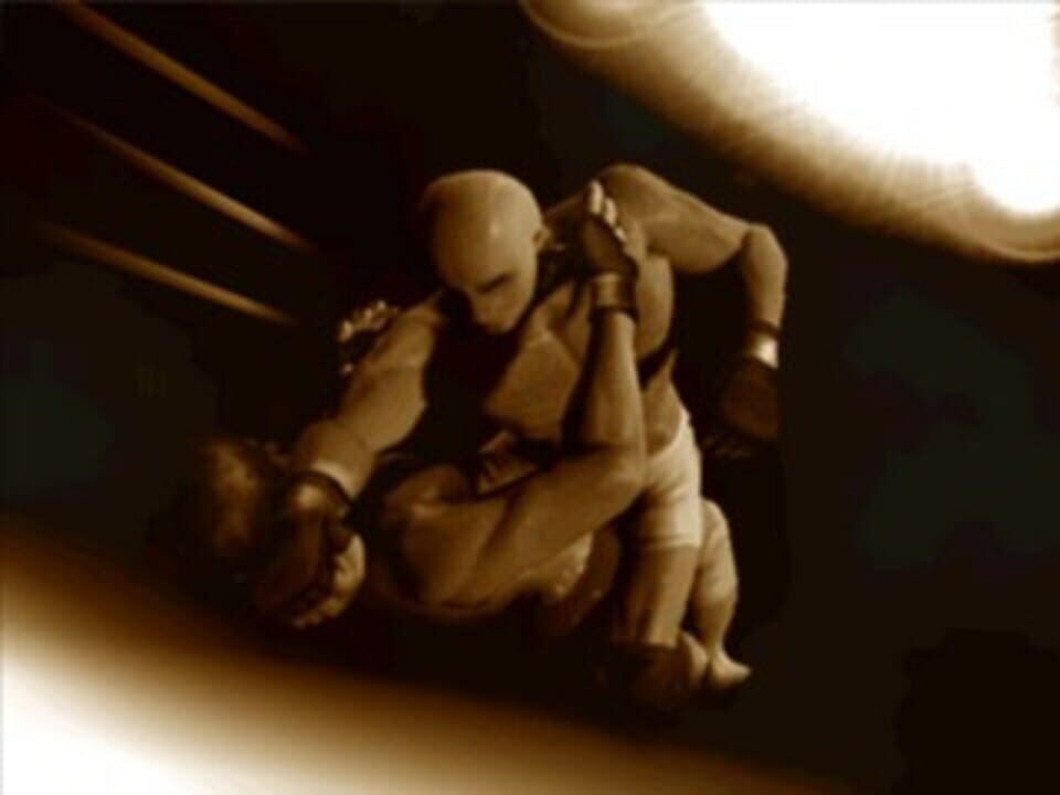 Pro Wrestling Sengokuden 2