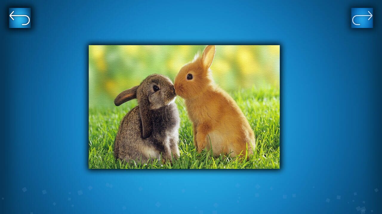 Puzzle: Animals