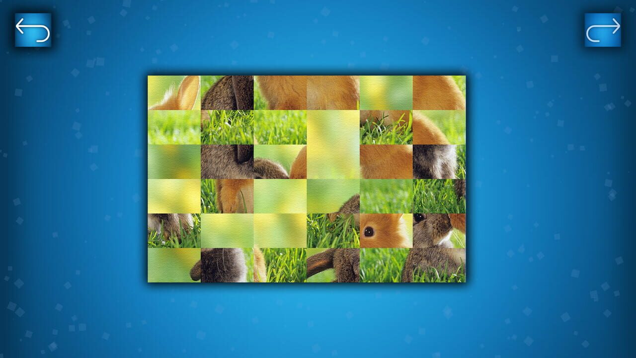 Puzzle: Animals