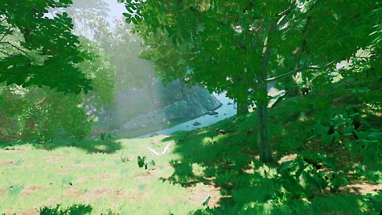 Insect Flight Simulator VR