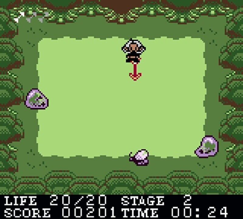 Hunter in the Lost Forest