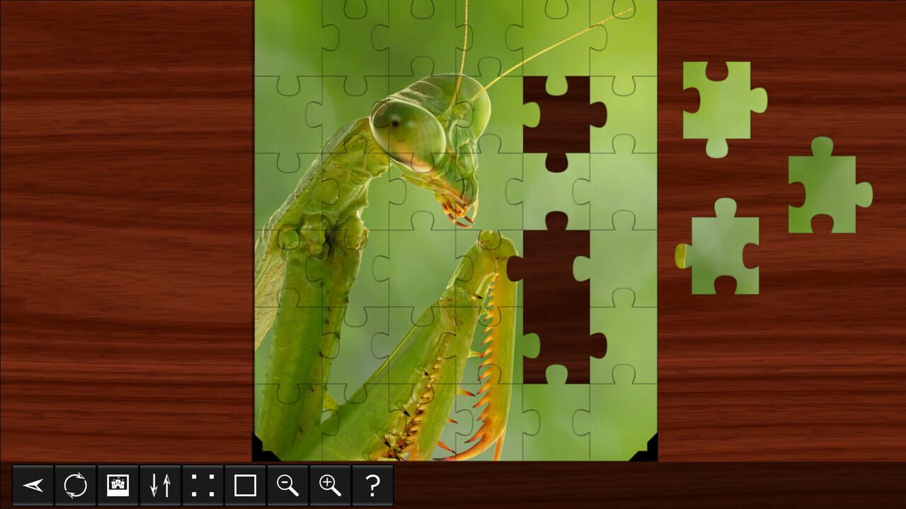 Jigsaw Puzzle World: Insects