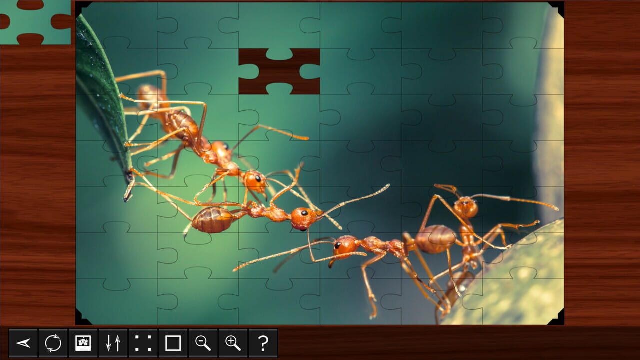 Jigsaw Puzzle World: Insects