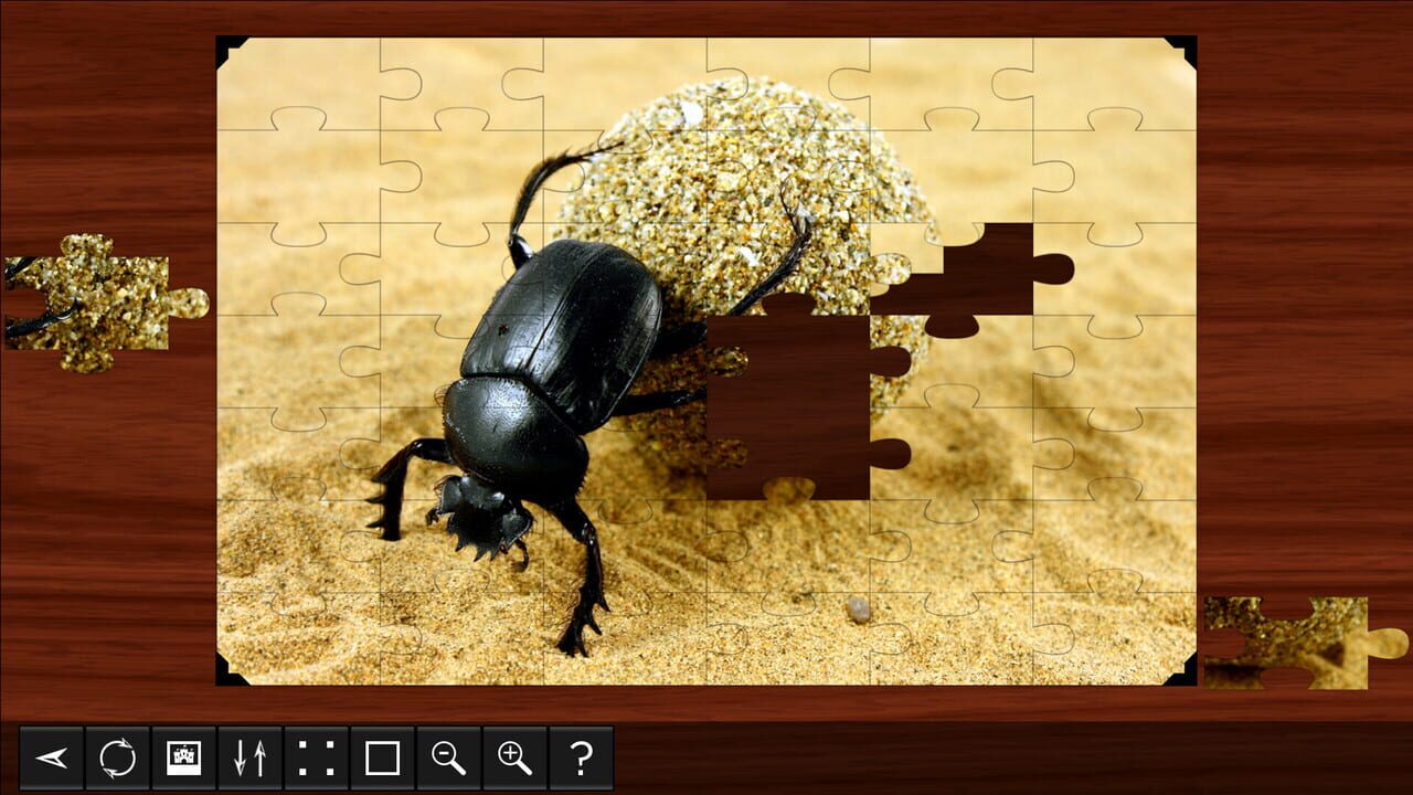 Jigsaw Puzzle World: Insects