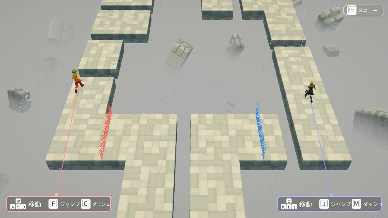 Hypotheses on the Symmetry between Vision and Hands