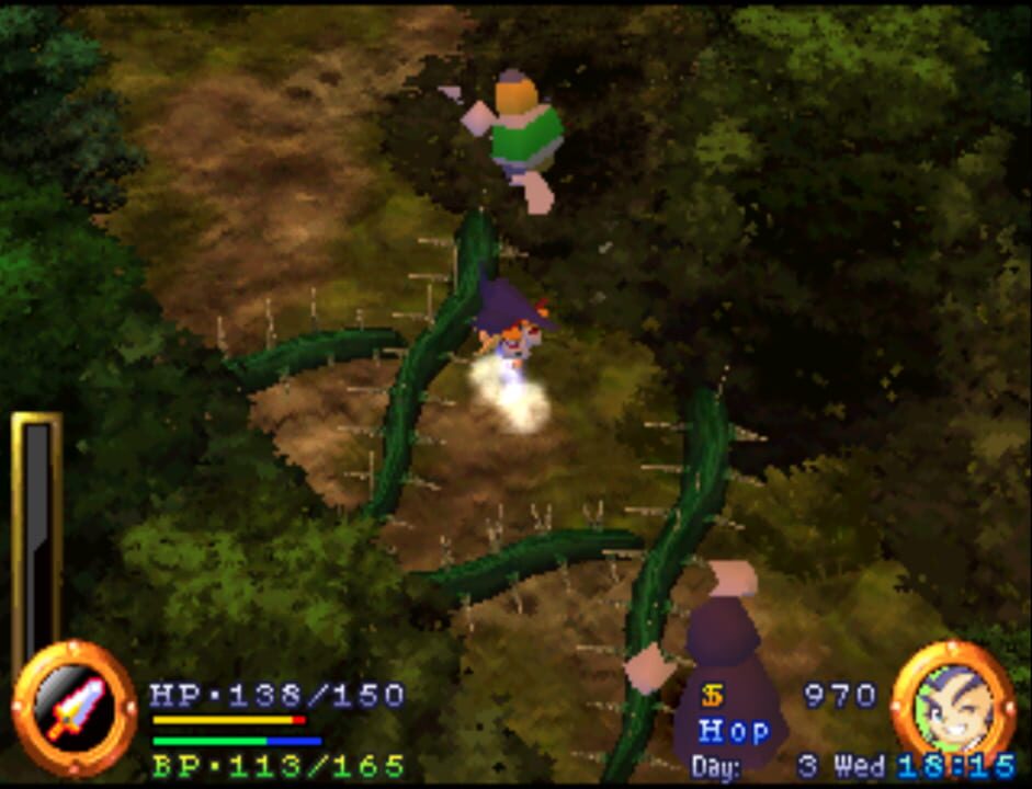 Brave Fencer Musashi