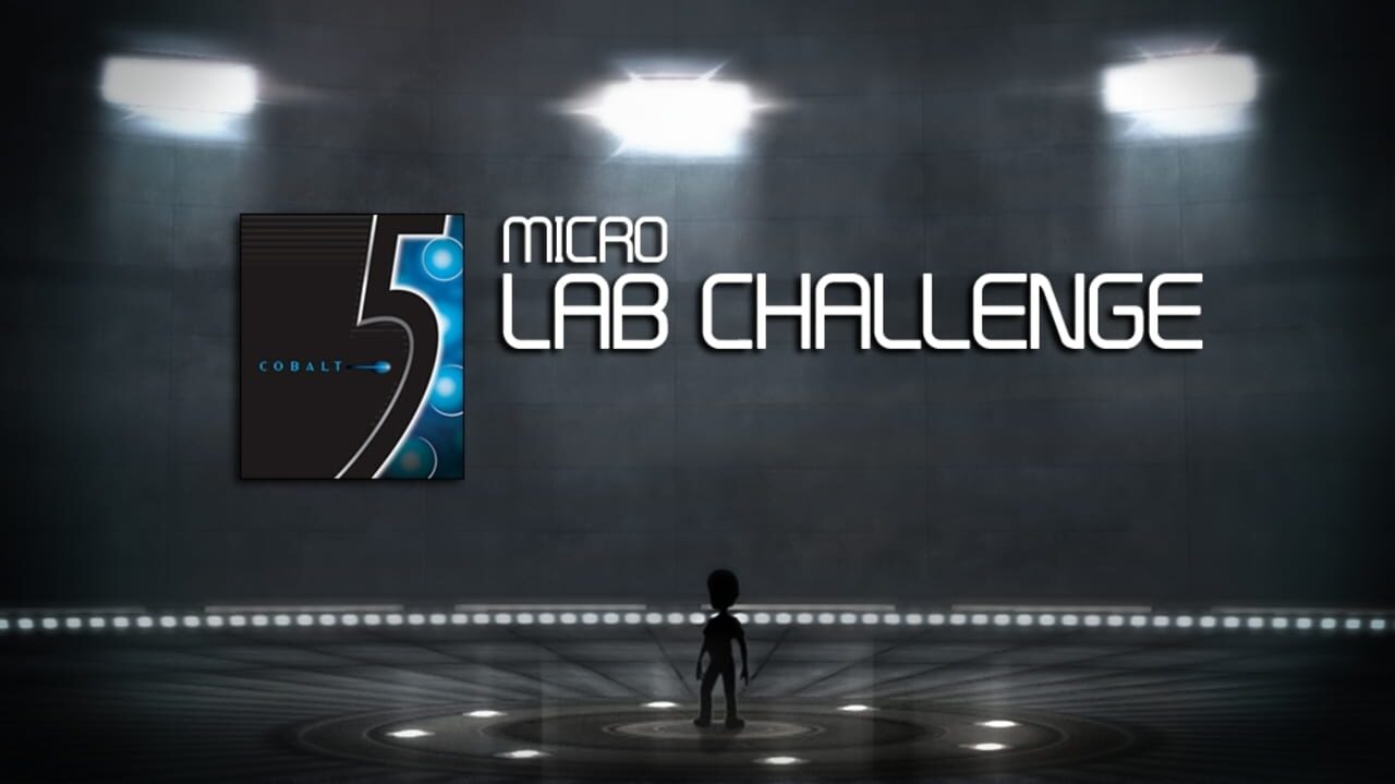 Kinect Fun Labs: 5 Micro Lab Challenge