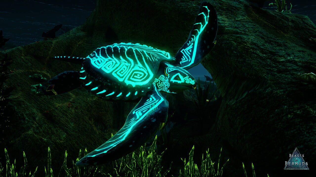 Beasts of Bermuda: Archelon Supporter Warpaint