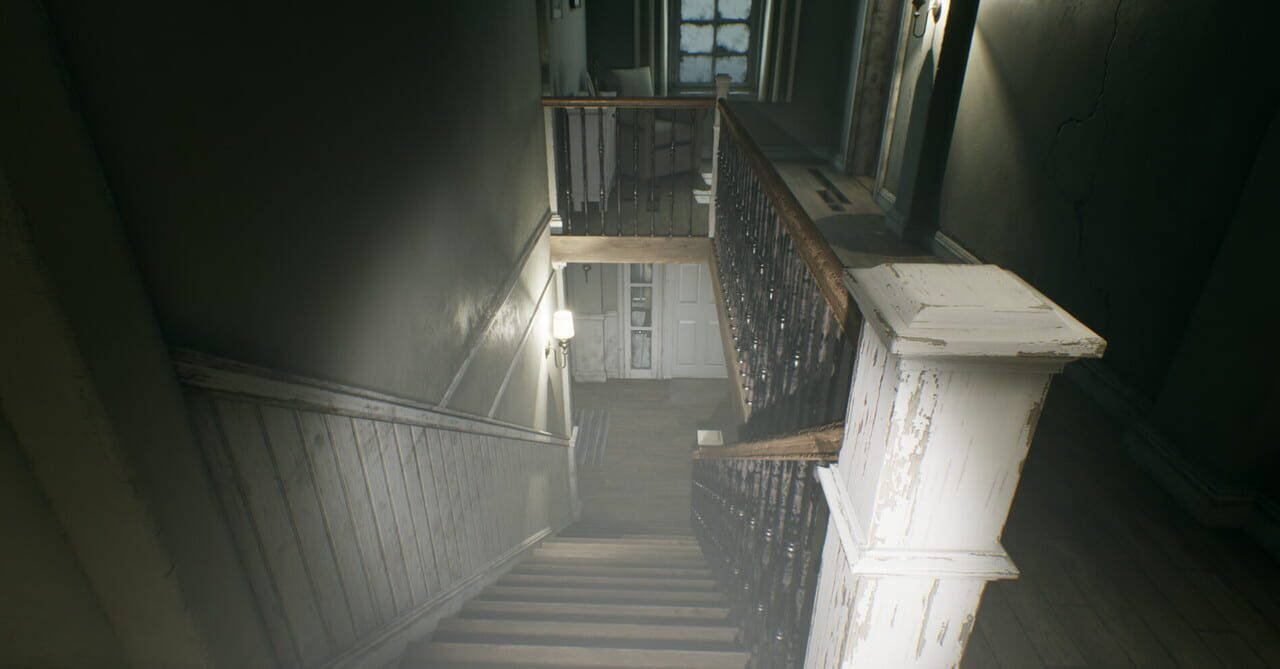 Paraplasm: Beyond the Veil