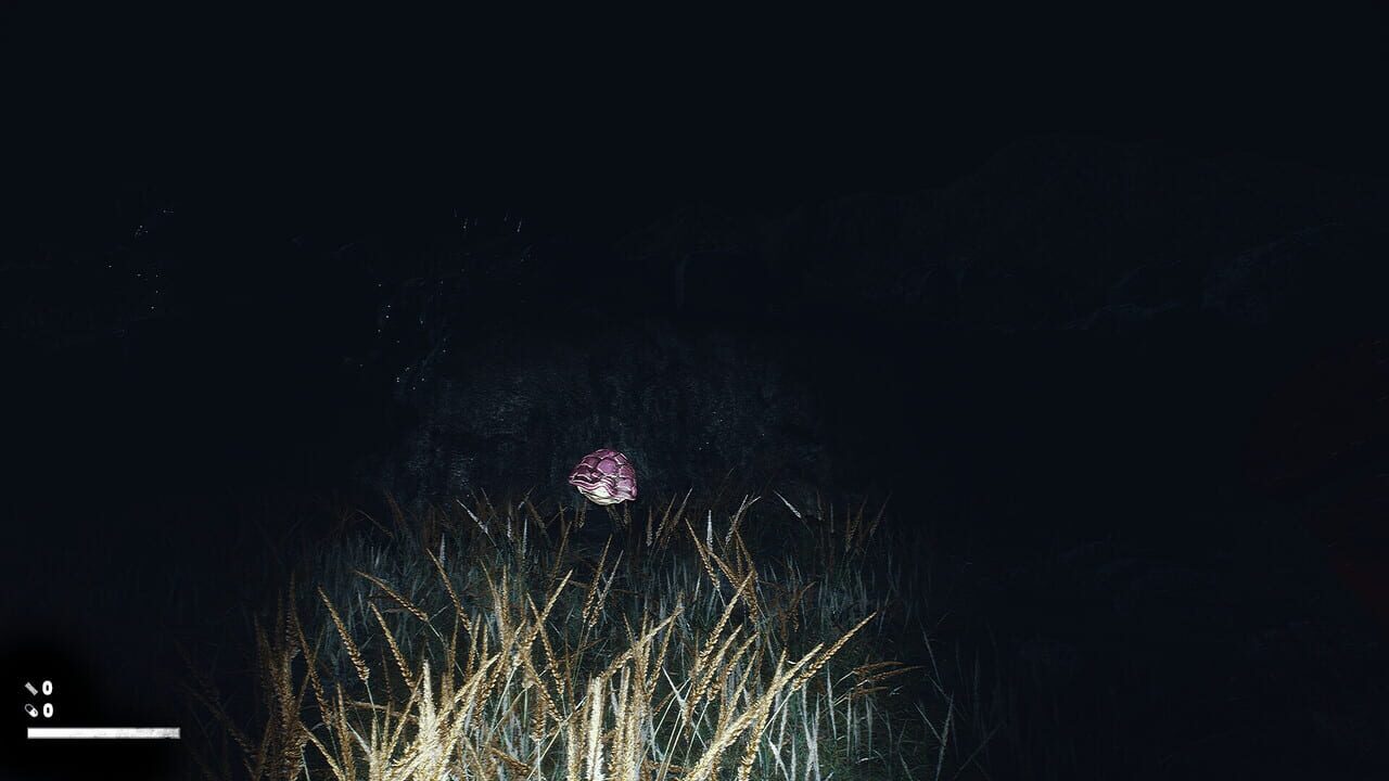 Dead Shells