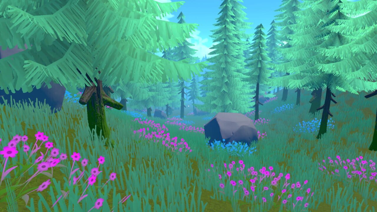 Exploration Adventures