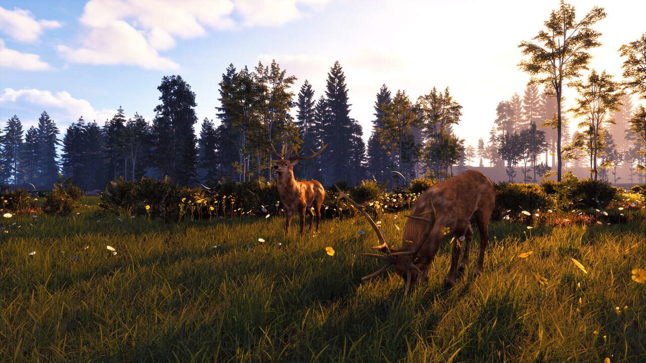 Windstorm: Start of a Great Friendship – Remastered