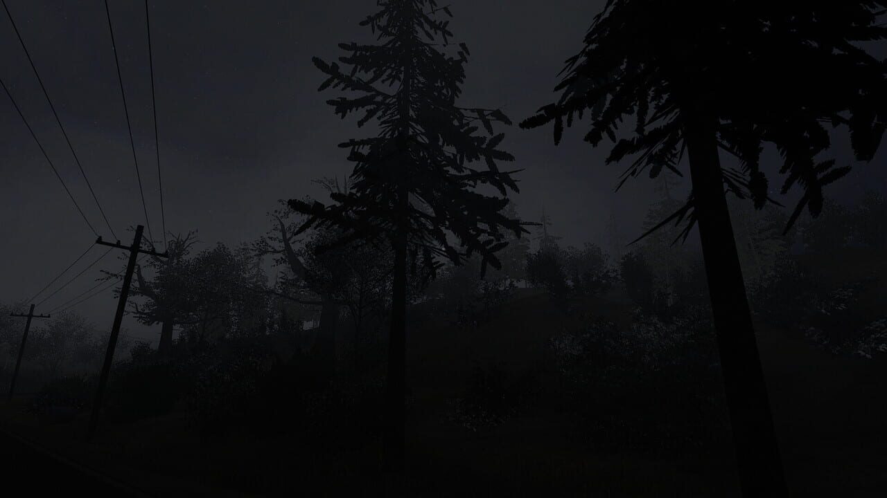 Not Alone