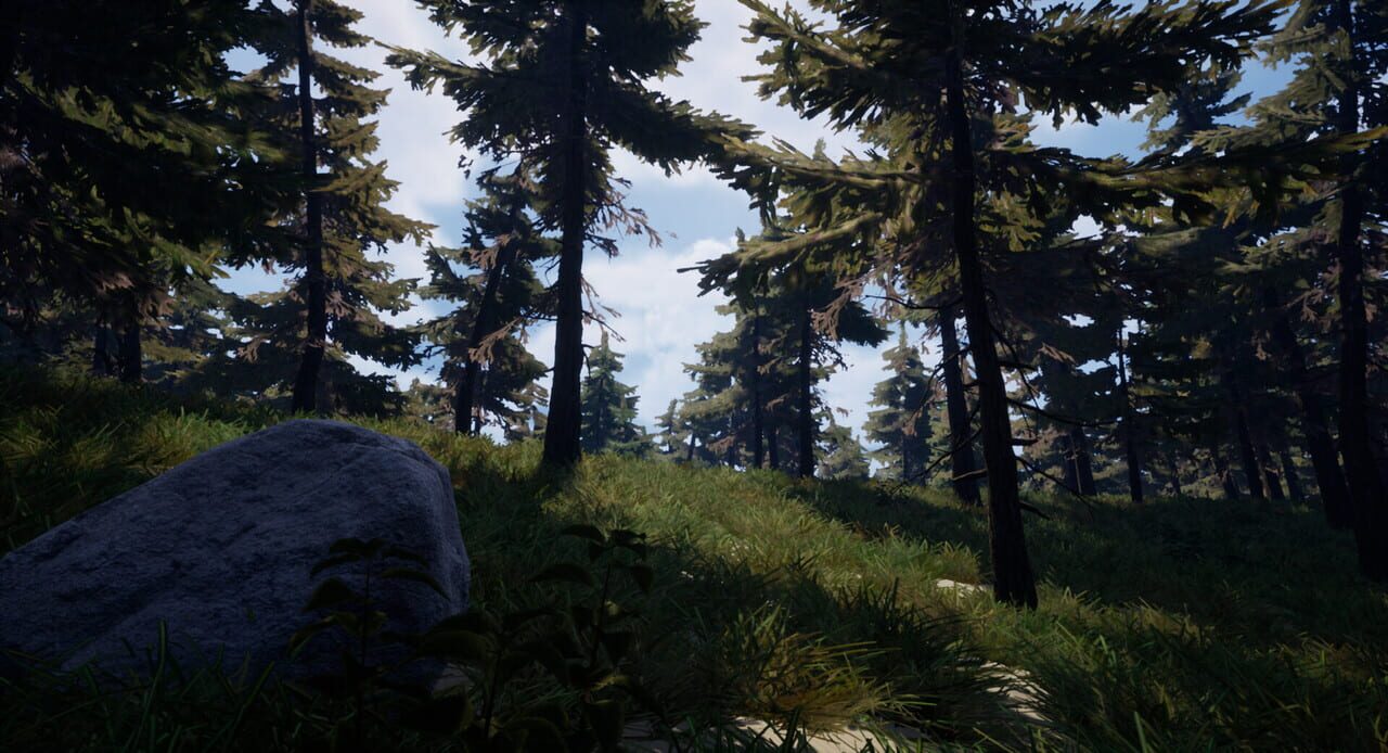 Forest of Fear
