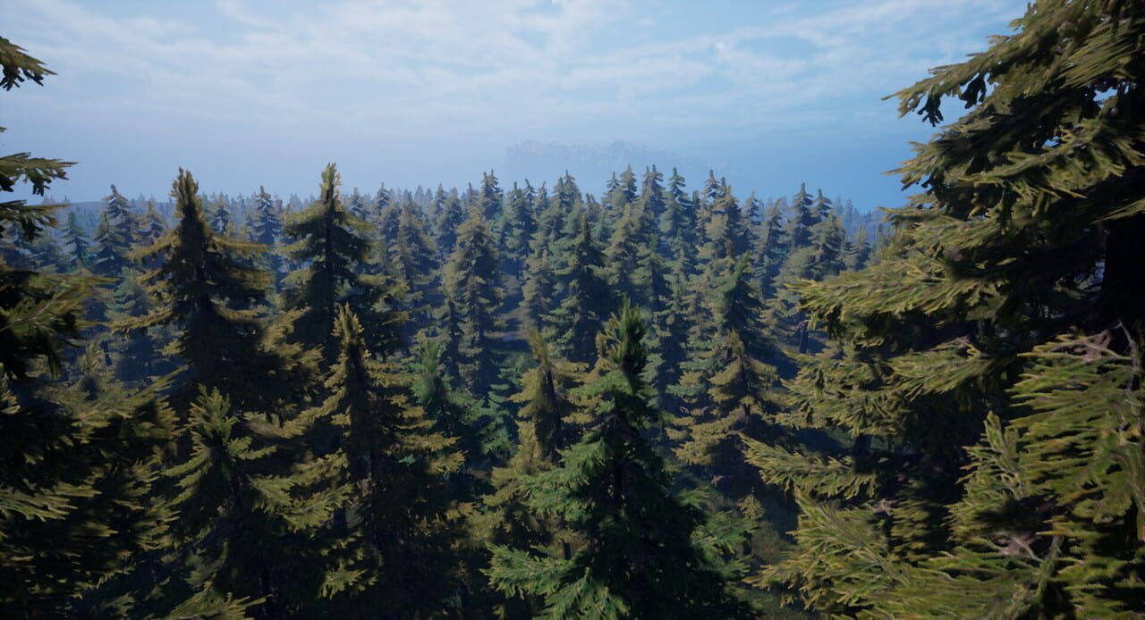 Forest of Fear