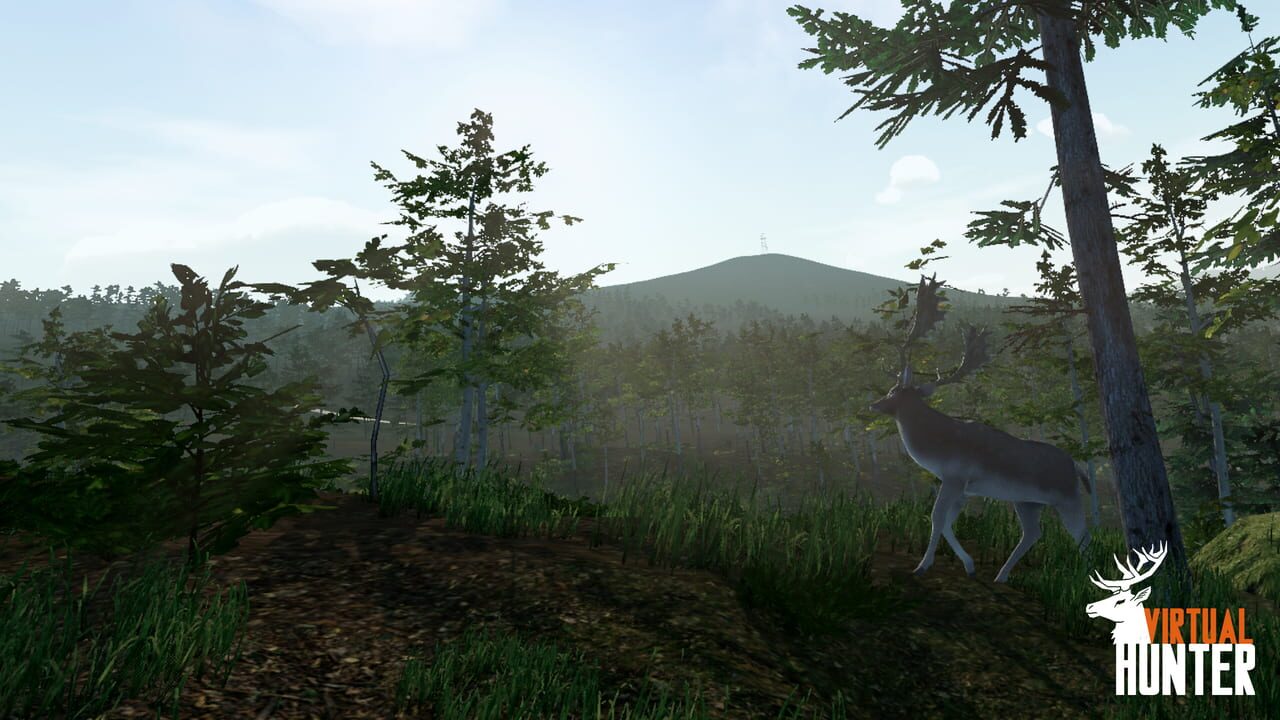 Virtual Hunter