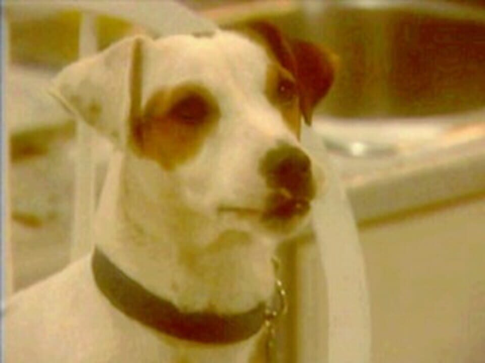 The Reshaping of Googol 1B: The Tower