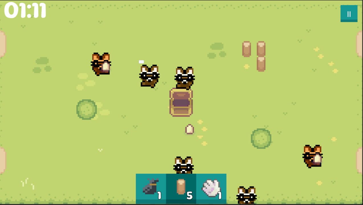 Raccoon Out