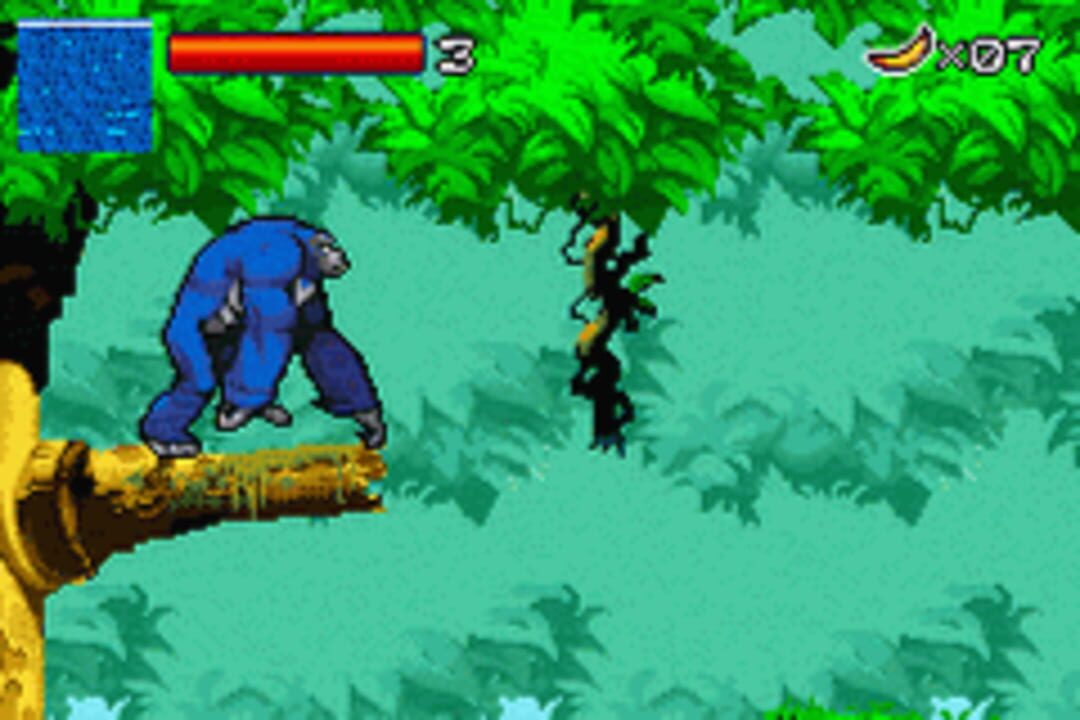 Kong: The Animated Series