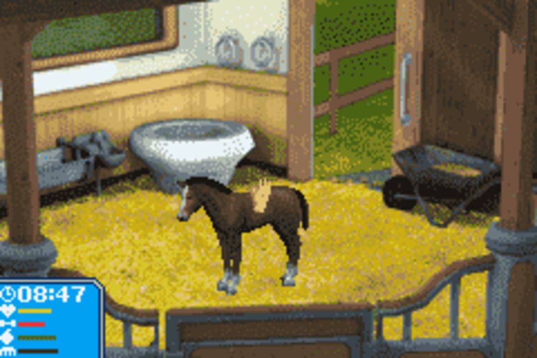 Lets Ride!: Friends Forever