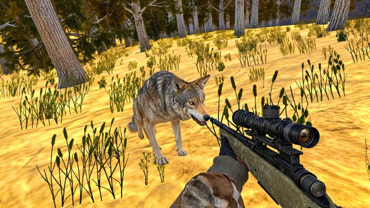 Animal Hunting 3D