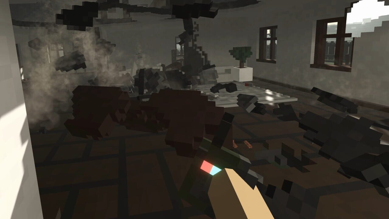 Voxel Project