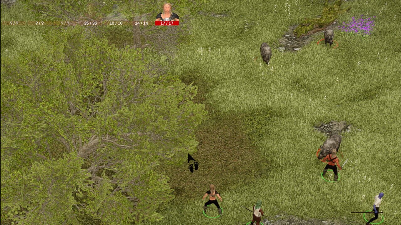 Catonium: Out of Chaos