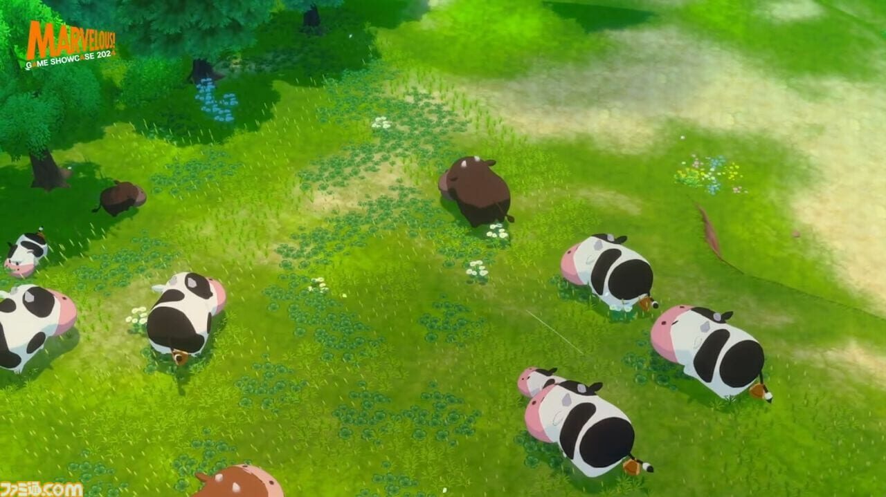 Story of Seasons: Untitled 2024