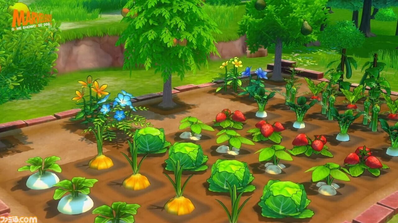 Story of Seasons: Untitled 2024