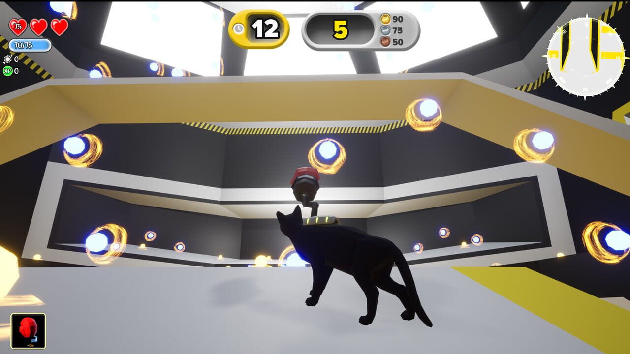 Cat Test Lab: Multiplayer Contest Arena
