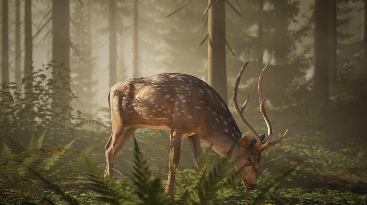 Middle Ages: Peasants & Knights