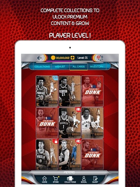 NBA Panini Dunk
