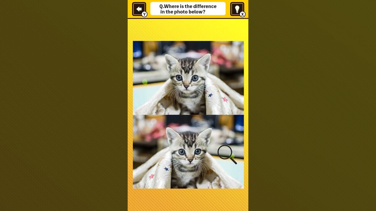 Train Your Brain! Spot the Difference with Cat Photos