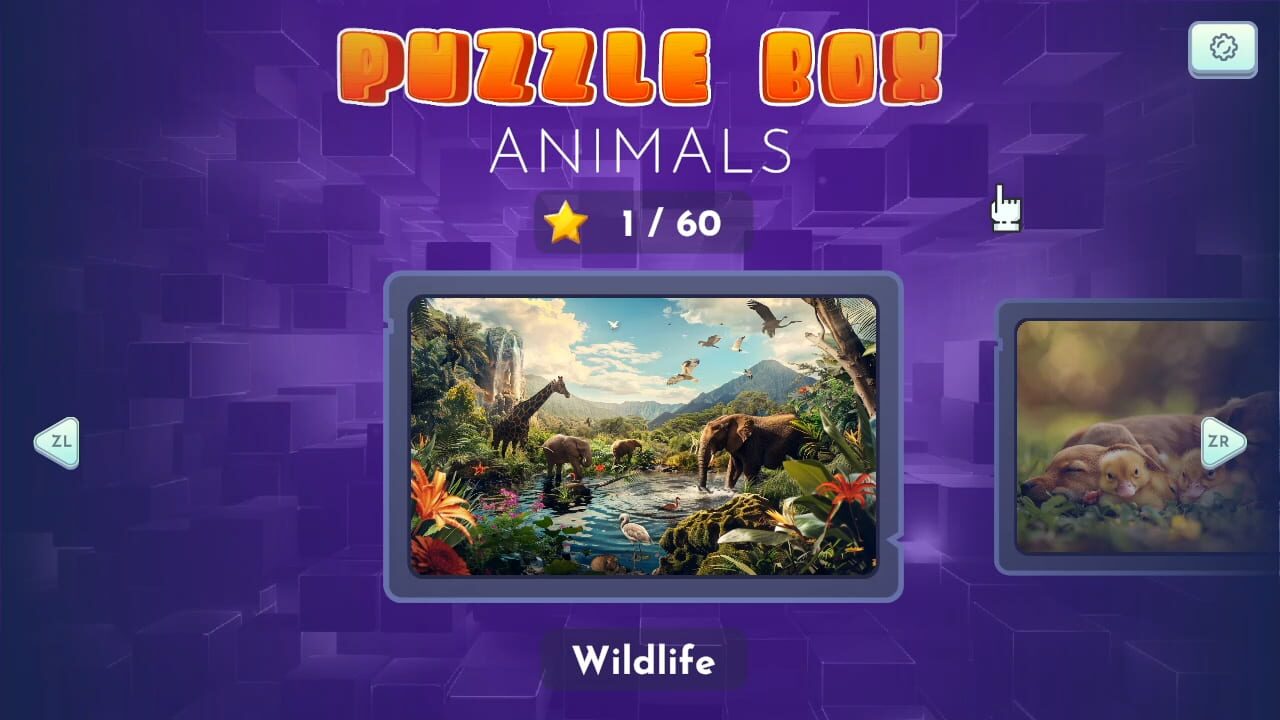 Puzzle Box: Animals