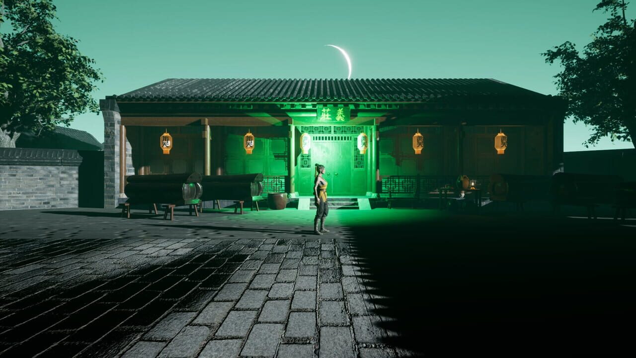 The Jiang Shi 2: Curse of Soul