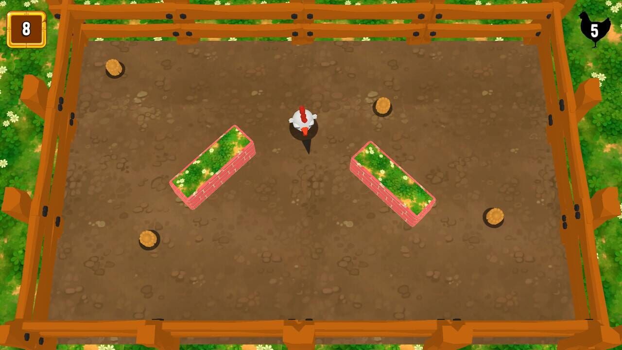 Bouncy Chicken