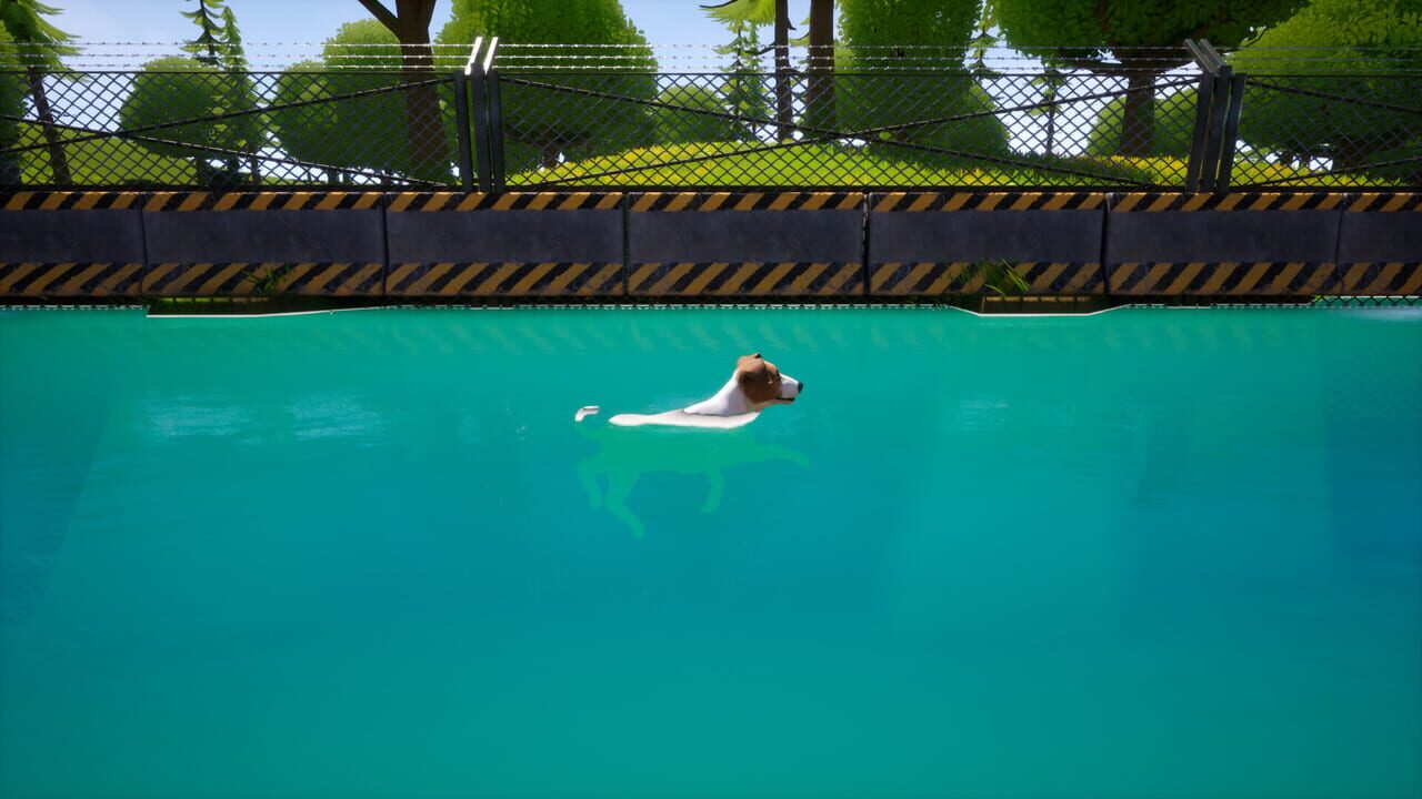Dogs Club