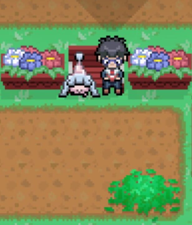 Pokémon Hidden Place