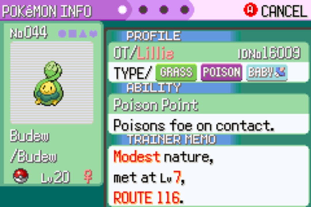 Pokémon: Too Many Types
