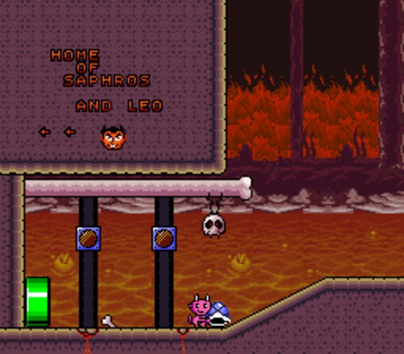 Shell’s Kitchen: Nico’s Journey