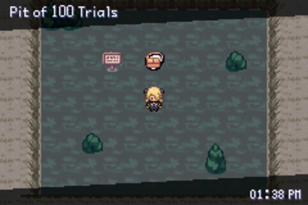 Pokémon: The Pit